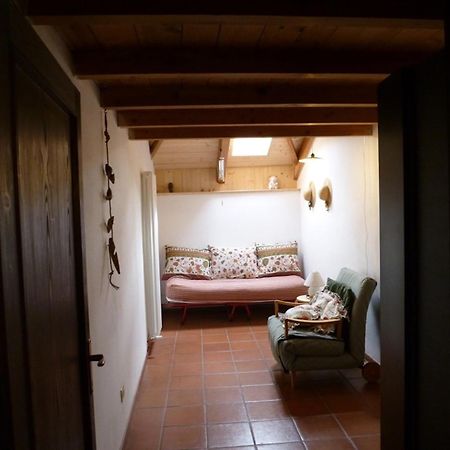 In Plait Bed & Breakfast Cercivento Exterior photo