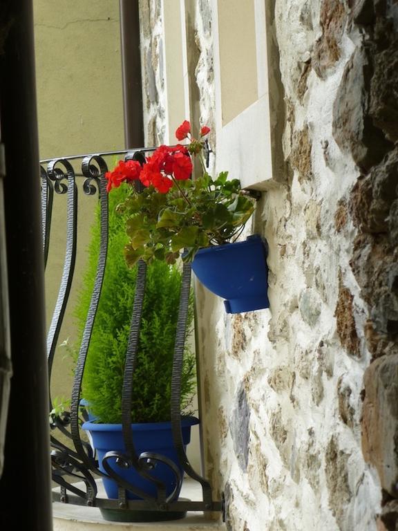 In Plait Bed & Breakfast Cercivento Exterior photo