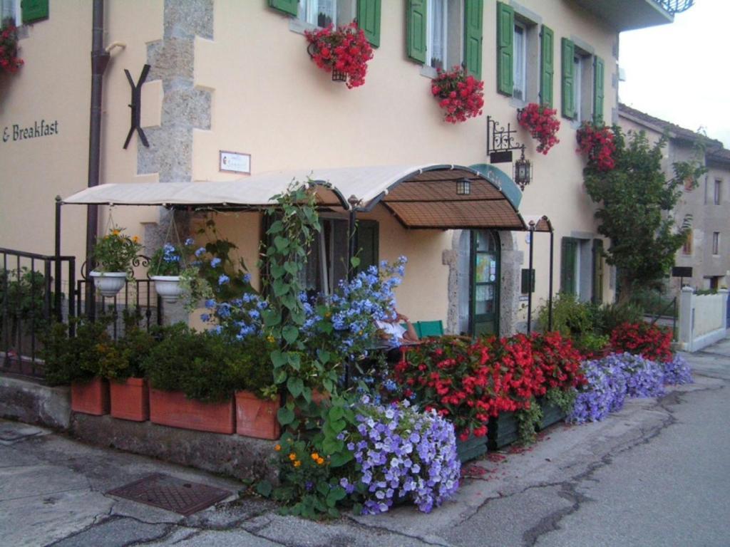 In Plait Bed & Breakfast Cercivento Exterior photo